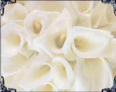 wedding poems poetry wedding poems poetry