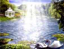 swan_lake