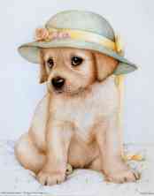 pup_n_hat