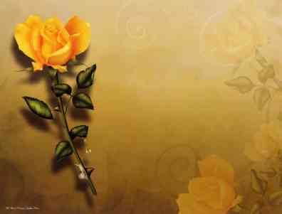 poems for marriage poems for marriage