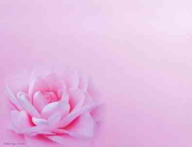 wedding poetry wedding poetry