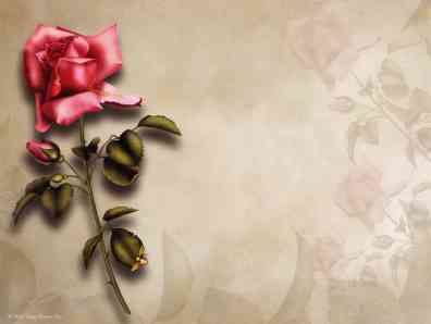 wedding poems wedding poems